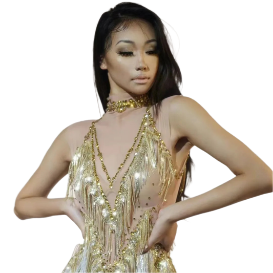 Iris Gradient Tassel Latin Dance Competition Costume Talent Performance Dress Prom Performance Costume